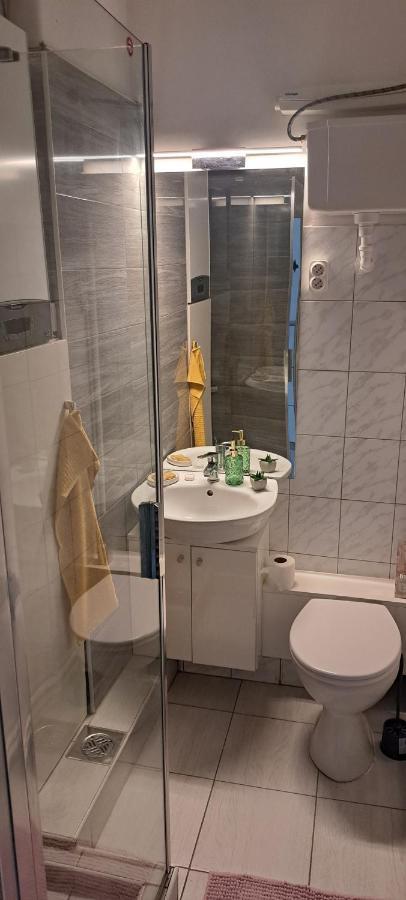 Napraforgo Apartman Daire Segedin Dış mekan fotoğraf